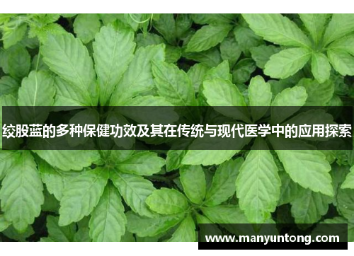 绞股蓝的多种保健功效及其在传统与现代医学中的应用探索