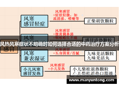 风热风寒症状不明确时如何选择合适的中药治疗方案分析